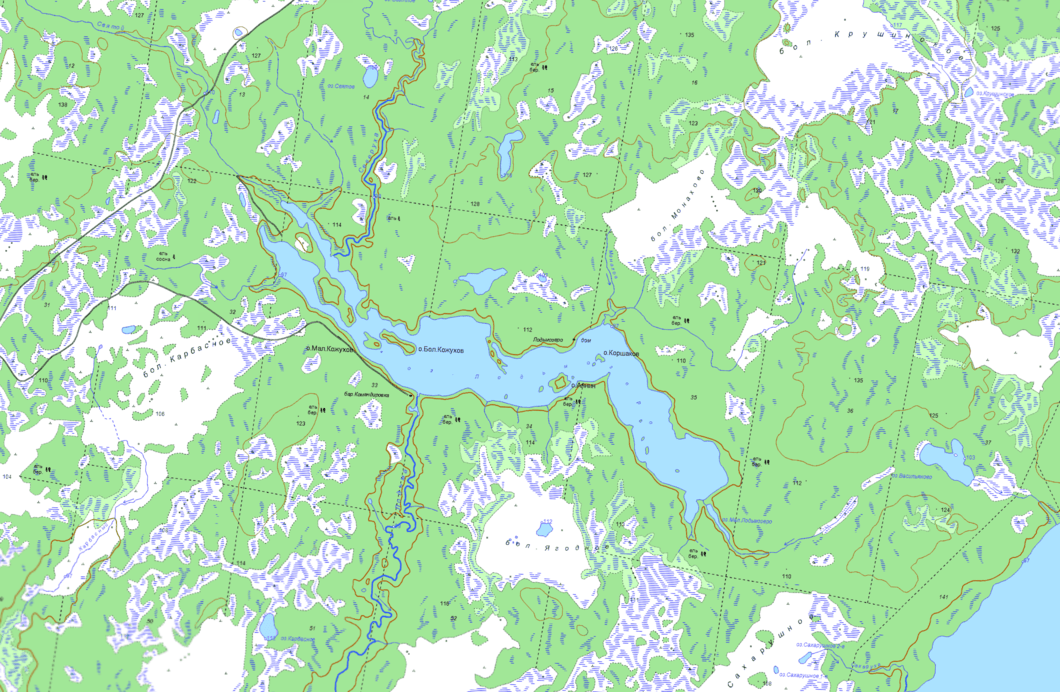 карта озеро Лодьмозеро  в хорошем качестве