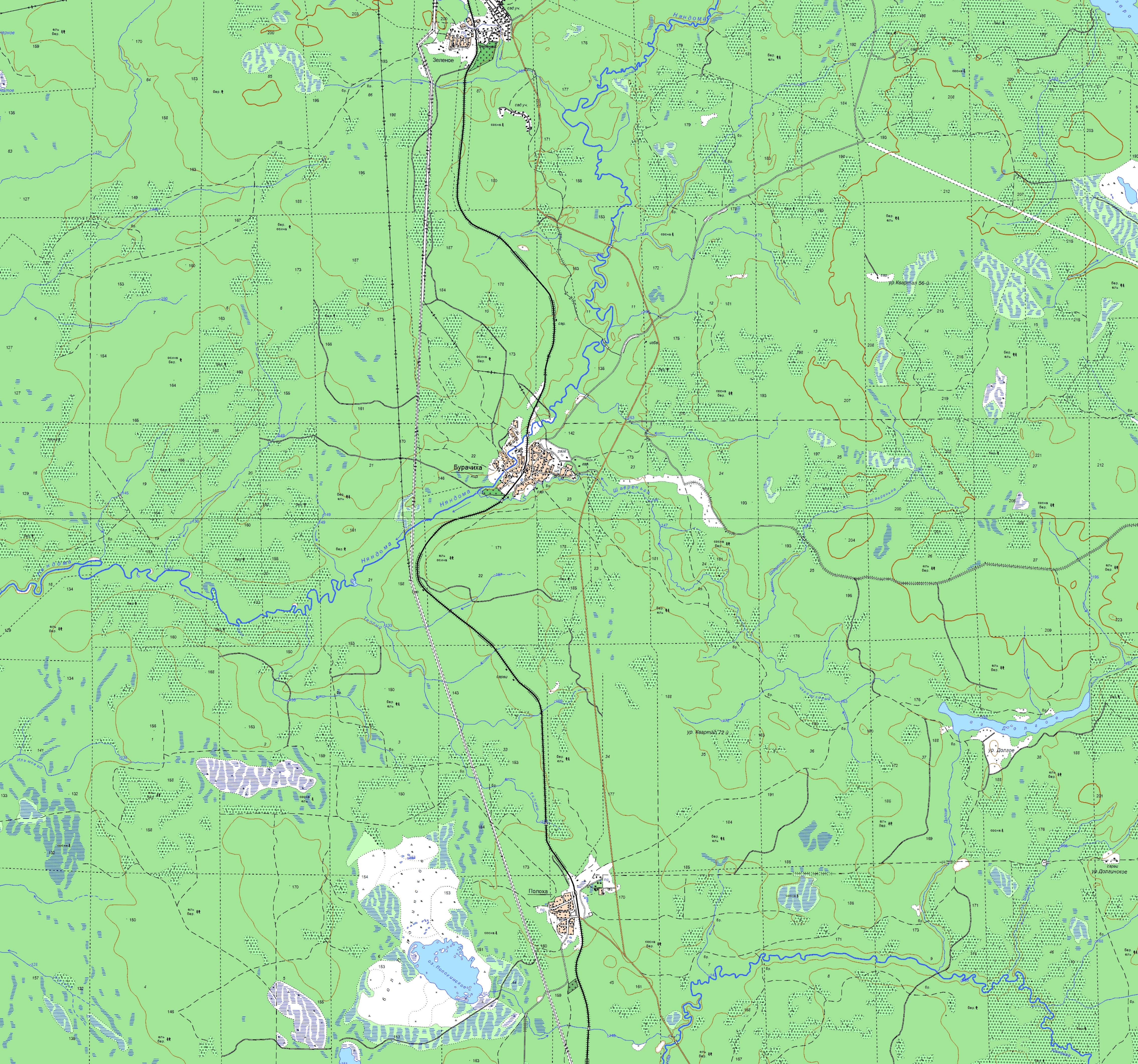 Бурачиха архангельская область. Бурачиха Няндомский район. Карта Няндомского района Архангельской области. Бурачиха Архангельская область лесничество.